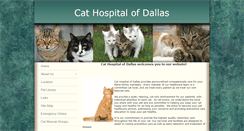 Desktop Screenshot of cathospitalofdallas.com
